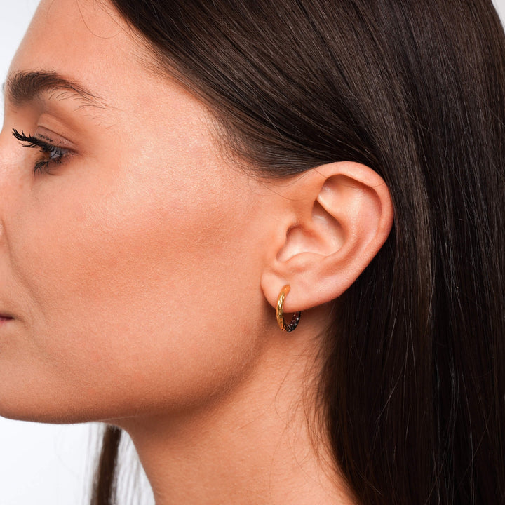 Anting Daphne